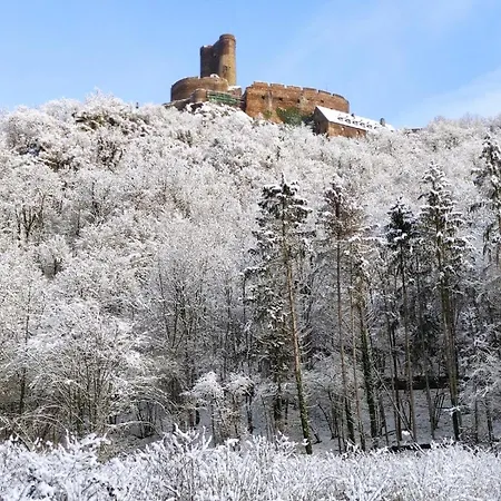 'unter Der Burg' Appartamento *