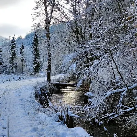 'unter Der Burg' Appartamento Brodenbach