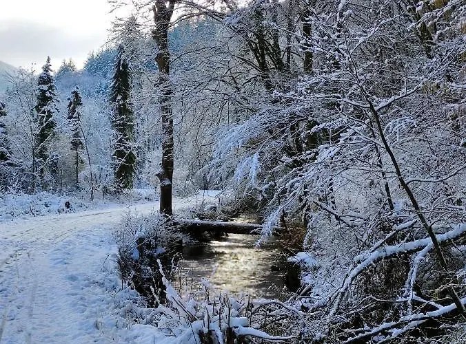 'unter Der Burg' Apartamento Brodenbach
